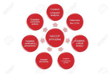 Hazard Analysis And Critical Control Point Haccp Public Health Notes