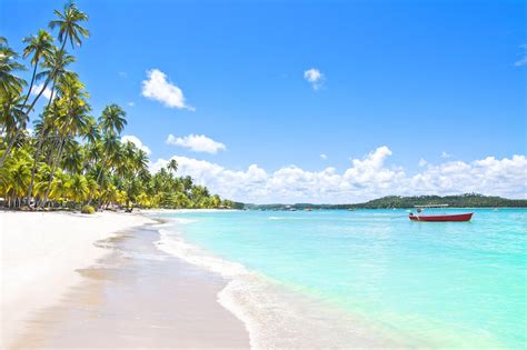 Praias De Pernambuco Top 10 Melhores Praias De Pernam Vrogue Co