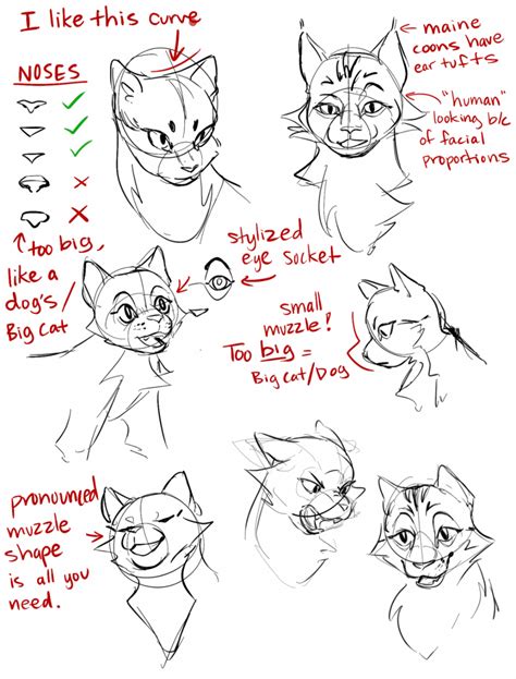 How To Draw A Cat Face Profile Cats Anime Drawing