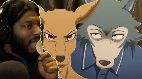 Beastars English Dub Episode 8 Reaction Season 1 Youtube