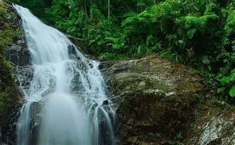 Taman wisata ds.pulau buayo kabupaten sarolangun, jambi. Taman Wisata Ds.pulau Buayo Kabupaten Sarolangun, Jambi ...