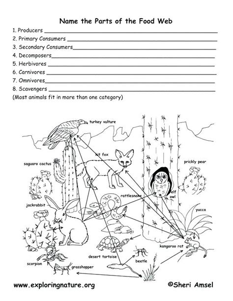 Some food items are actually specialized cuisines belonging to a particular region such as chinese or. Food Chain Coloring Pages at GetColorings.com | Free ...