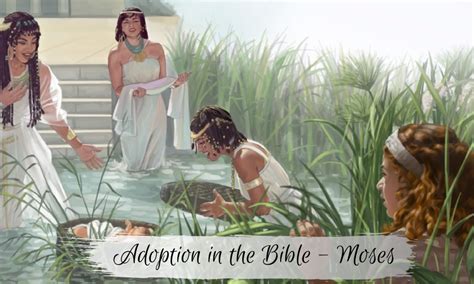 Adoption In The Bible Moses Netties Confetti