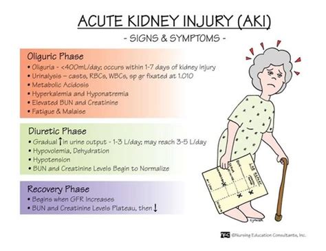 Acute Kidney Injury Aki And Chronic Kidney Disease Ckd Flashcards