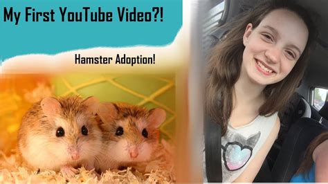 Getting My New Hamsters Roborovski Hamsters Adoption Youtube