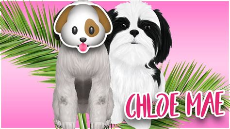Chloe Mae The Sims 4 Create A Pet Famous Youtuber Pets Youtube