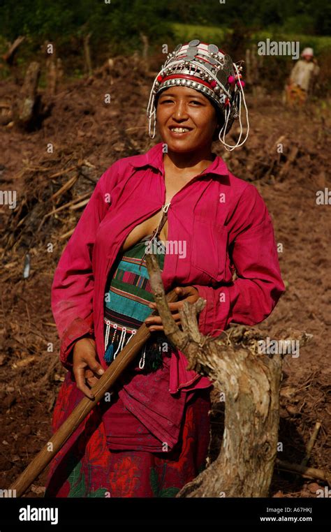 Akha Indigenous Woman Working Her Potato Fields Muang Sing Louang