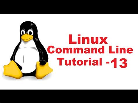 Linux Command Line Tutorial For Beginners 13 Sudo Command YouTube