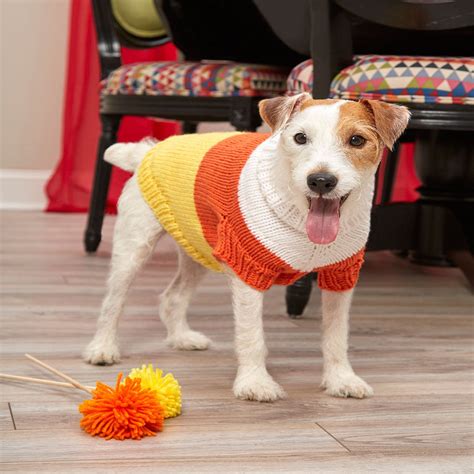 Beginner Free Knitting Patterns For Dog Sweaters