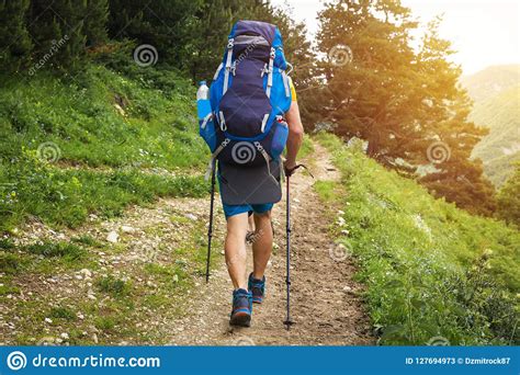 Hiking Tourist With Backpack From Behind Alps In Background Royalty