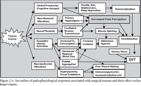 Pdf 2 Pathophysiology Of Acute Pain Semantic Scholar