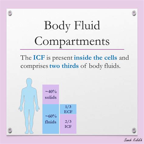 Body Fluid Compartments You Can Do It