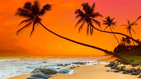 Summer Sunset Sri Lanka Wallpaper Backiee