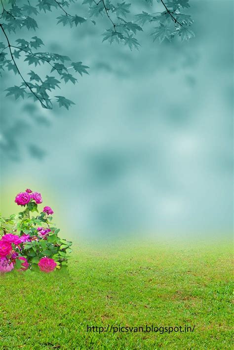 44 Top Nature Background Hd Images For Photoshop Editing Complete