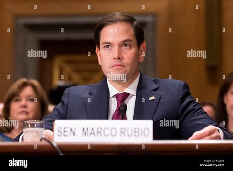 Washington Dc Usa 08th Nov 2017 United States Senator Marco Rubio