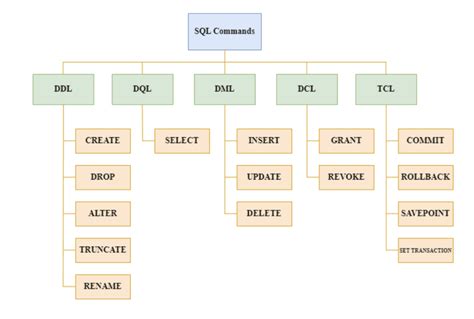 Dml Ddl Dcl And Tcl Commands In Sql Explained Dev Community