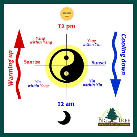 There are four chinese characters used for the yang surname, but only two are common enough to consider here; How Yin and Yang Shift Throughout a Day - Big Tree School of Natural Healing
