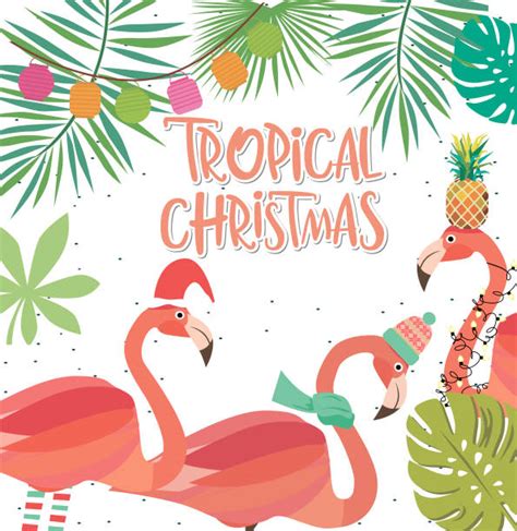 Best Christmas Flamingo Illustrations Royalty Free Vector