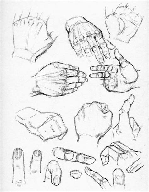 Come Si Disegnano Le Mani Secondo Andrew Loomis Circolo D Arti