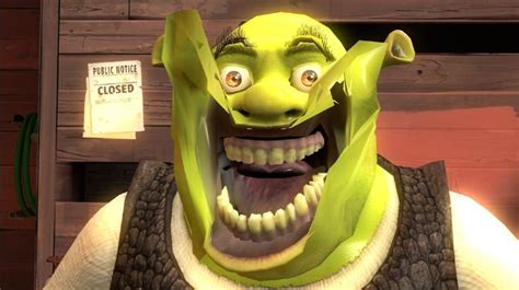 Pin De Megyn Pettry En Shrek Memes Shrek Caras De Memes Personajes