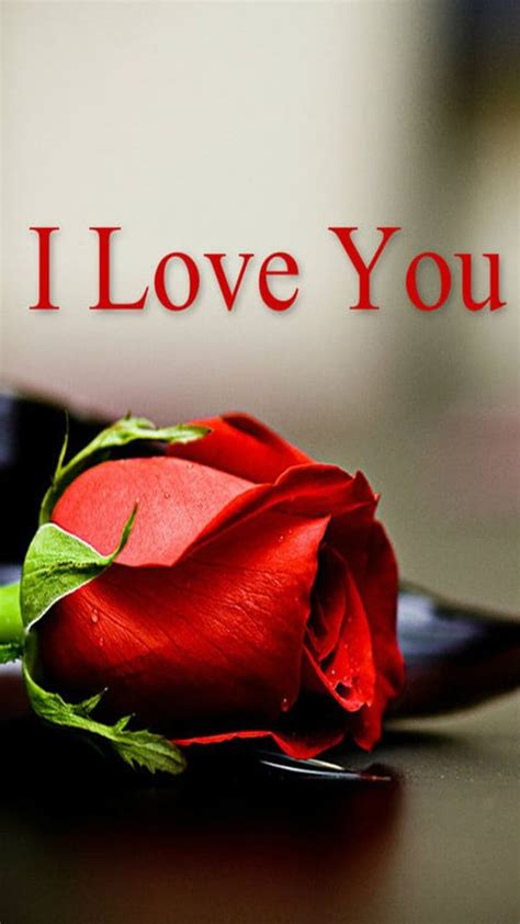 I Love You Red Rose Images