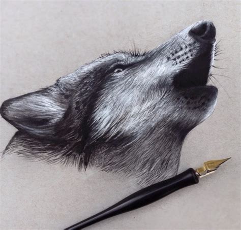 You just have to look at beautiful drawing pencil sketches and art examples to know what we mean. Stunning Animals Realistic Pencil Drawing by Jonathan Martinez | 99inspiration