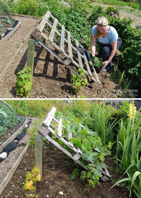 42 Brilliant Gardening Ideas To Inspire You Cucumber Trellis Diy
