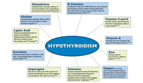 Thyroid Nutrition For Optimal Thyroid Health The Adrenal Gut Brain