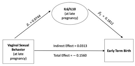 Healthcare Free Full Text Association Between Sexual Activity During Pregnancy Pre And