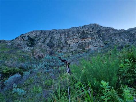 2023 Best Trails Walks And Paths In Helderberg Nature Reserve Alltrails