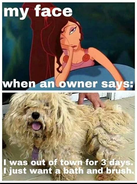 Have the tub come off the wall this way so they can get on wither side of the dog while washing. -Repinned- More groomer humor My favorite was what do you ...