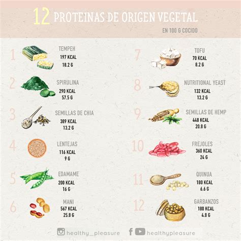 12 Fuentes De Proteína De Origen Vegetal Que Debes Agregar A Tu Dieta
