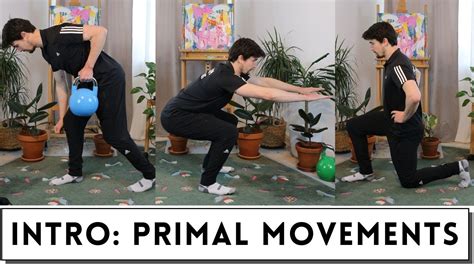 Introduction To The 7 Primal Movements Youtube