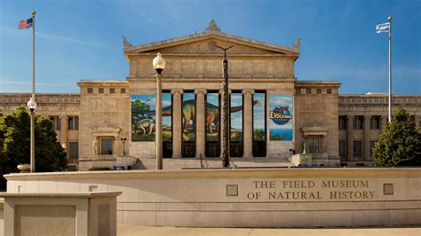 Field Museum Of Natural History — Museum Review Condé Nast Traveler