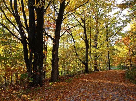 11 Best Country Roads In The Fall In Vermont That Are Pure Bliss