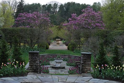 Order olive garden to go! Kingwood Center - mansfield, ohio | English garden style ...