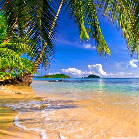 Shore Palms Tropical Beach Ultra Hd Desktop Background