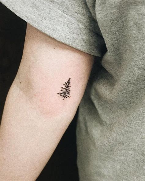 Tree Tattoo Design Forest Ink Ideas As A Symbol Of Life And Knowledge