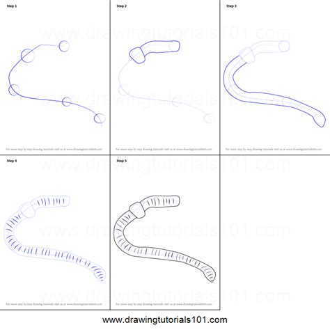 How To Draw A Worm Printable Step By Step Drawing Sheet