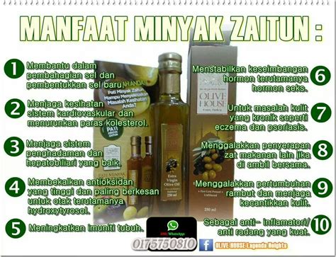 Selain menanam pohon buah tin mudah, buah tin adalah buah yang sangat fenomenal karena namanya disebut dalam kitab suci alqur'an. Kehebatan Pati Minyak Zaitun Asli - Olive Oil Asli