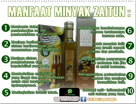 Berikut ini adalah beberapa manfaat minyak zaitun yang. Kehebatan Pati Minyak Zaitun Asli - Olive Oil Asli