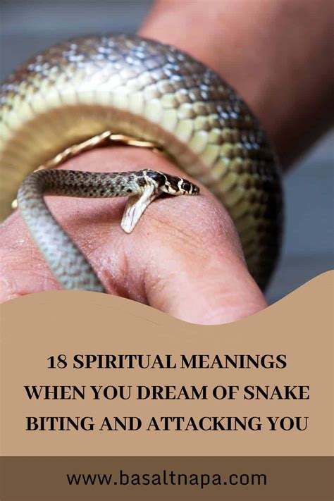 18 Spiritual Meanings When You Dream Of Snake Biting And Attacking You