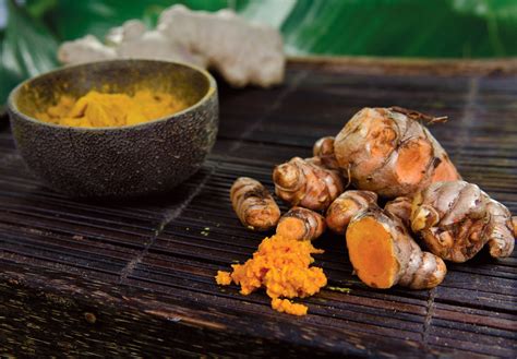 Rooting For Turmeric And Ginger Edible South Florida