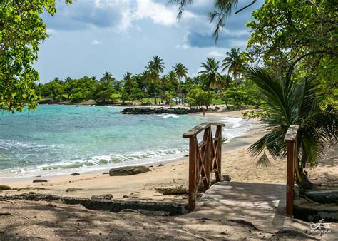Its nearest neighbours are the island republics of dominica, 22 miles (35 km) to the northwest, and saint lucia, 16 miles (26 km) to the south. Plage de l'Anse Gros Raisin • Lieux à visiter - Tourisme ...