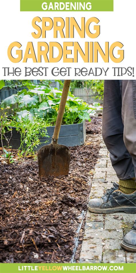 Spring Gardening Heres Everything You Need To Know