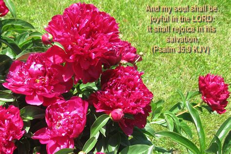 Inspirational Psalm Spring Bible Verses Kjv Bible Verse Wallpaper