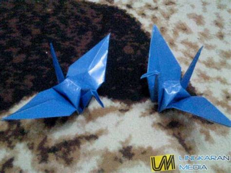 Untuk kali ini motif yang. Cara dan Langkah Membuat Origami Burung Update - Lingkaran Media