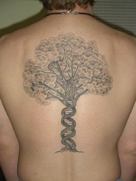 World of Biochemistry (blog about biochemistry): Tattoo - tree of life