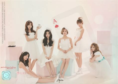 Apink: Scans από το pamphlet του Pink Paradise Concert | I say myeolchi