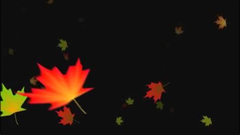 Falling Autumn Leaves Background Loop 3 Youtube